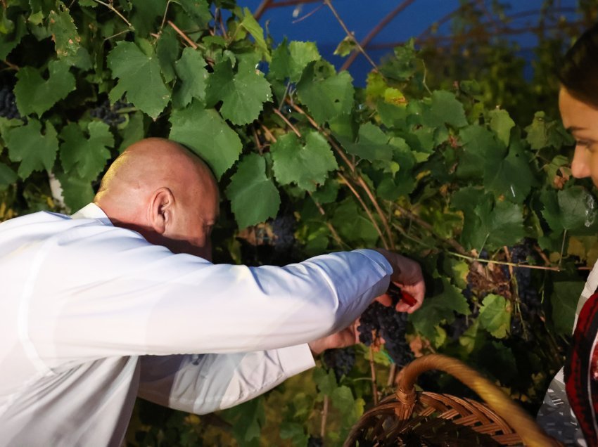 Haradinaj shijon rrushin e Suharekës