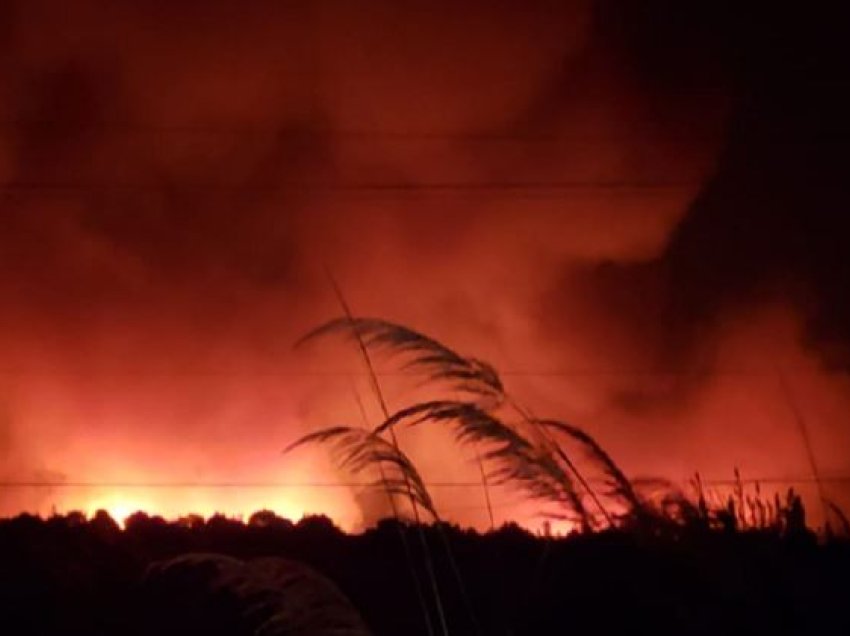 Prefektura e Qarkut Vlorë bën bilancin nga zjarret: Forcat zjarrfikëse të shpërndara në terren