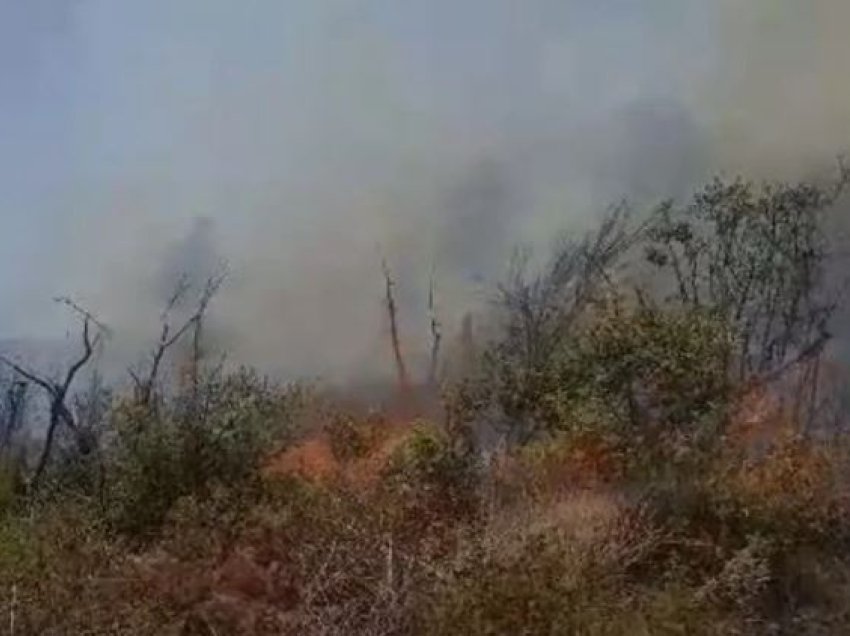 Zjarri masiv në Peshtanbregas ku u dogjën 100 rrënjë ulliri dhe 5 hektarë tokë, arrestohet 47-vjeçari