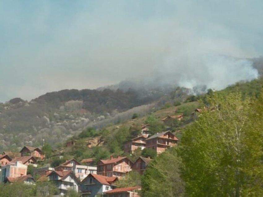Për një muaj janë djegur mbi 400 hektarë sipërfaqe pyjore në Malin Sharr