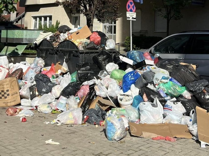 Azemi i LDK-së kritikon Aliun: Gjendja me mbeturina në Ferizaj është alarmante