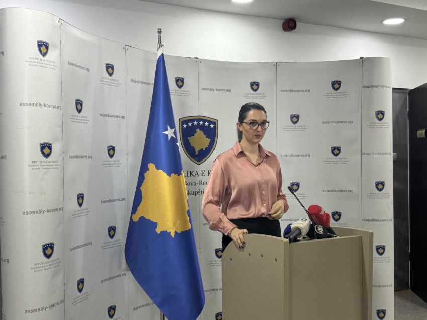 Siguria në Ballkanin Perëndimor, temë diskutimi ndërmjet deputetëve të Kosovës dhe atyre gjermanë