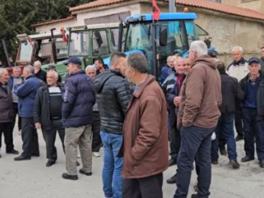 Blegtorët në protestë: Çmimi i shitjes së qumështit është shumë i ulët, ka shkuar në 55 lekë litri