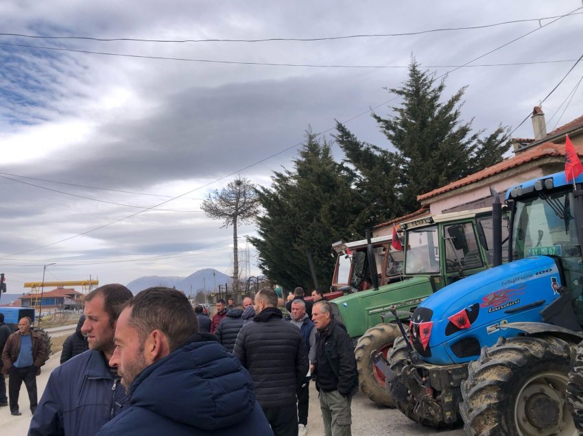  Fermerët dhe blegtorët në Devoll në protestë, rreshtojnë traktorët tek Drejtoria e Bujqësisë!
