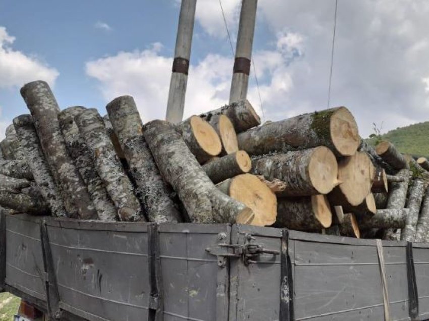 Konfiskohen drunj teknikë në Podujevë, dyshohet të jenë të kontrabanduara