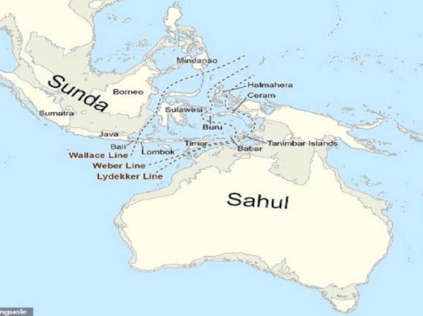 ​Gjendet kontinenti i humbur në brigjet e Australisë