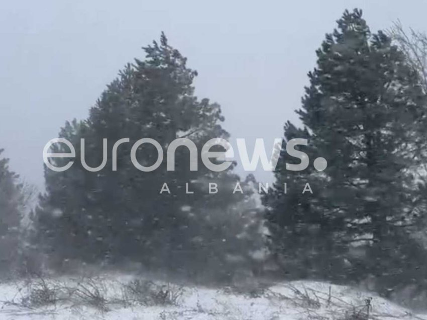 Stuhia e borës bllokon disa zona në Elbasan, fshatrat pa energji elektrike