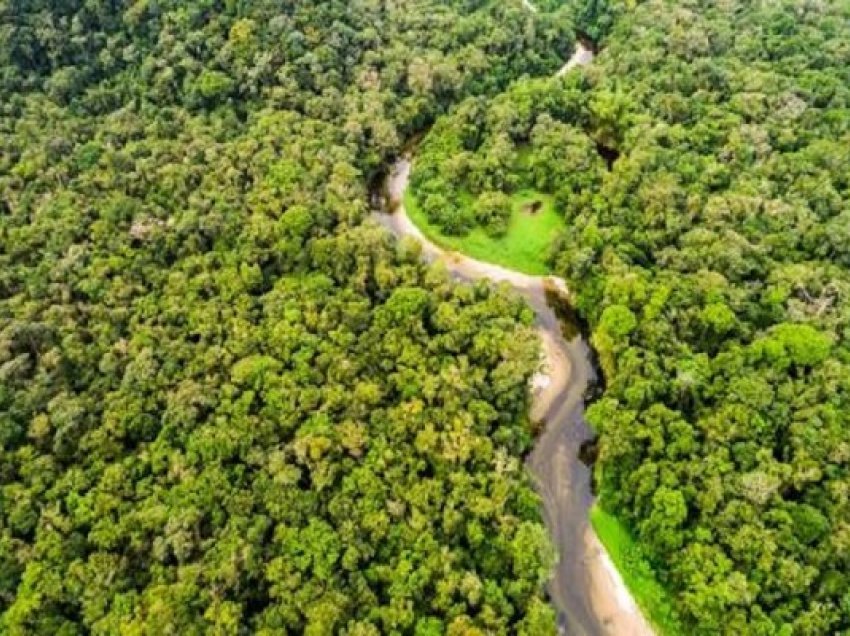 ​Studimi: Ndryshimet klimatike janë shkaku kryesor i thatësirës rekord në Amazonë