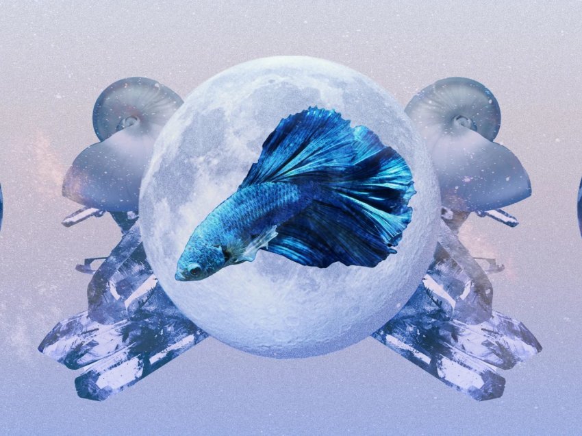 Hëna e re te Peshqit: Ç’do të sjellë për shenjën tënde?