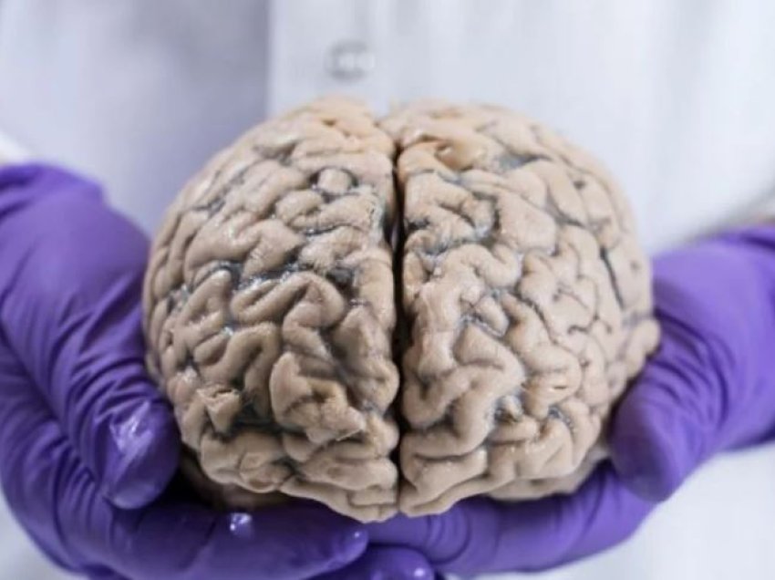 Studim i ri/ Kujtimet më të hershme ndoshta janë ende të ruajtura në trurin tonë!