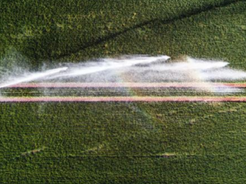 Pesticidet dhe herbicidet ndikojnë në sëmundjen e parkinsonit