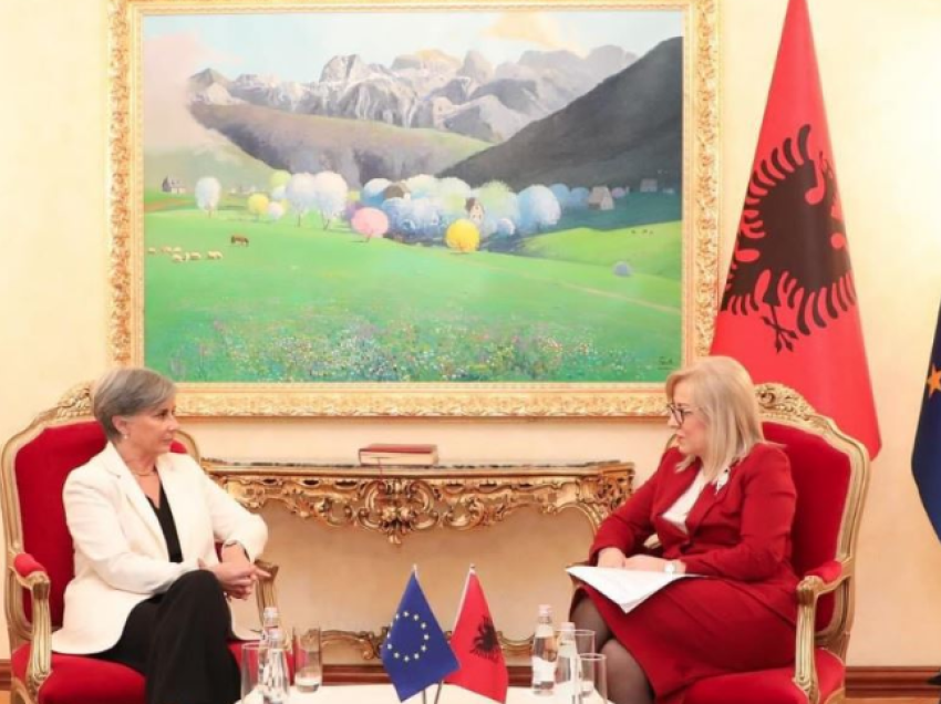Kryeparlamentarja Nikolla, takim me reporteren për Shqipërinë në PE, në fokus integrimi në BE dhe dialogu politik ndërpartiak në Kuvend
