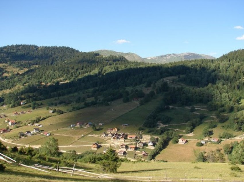 Pronarët e pyjeve ankohen se s’po u lejohet t’i përdorin drurët e tyre në Rugovë