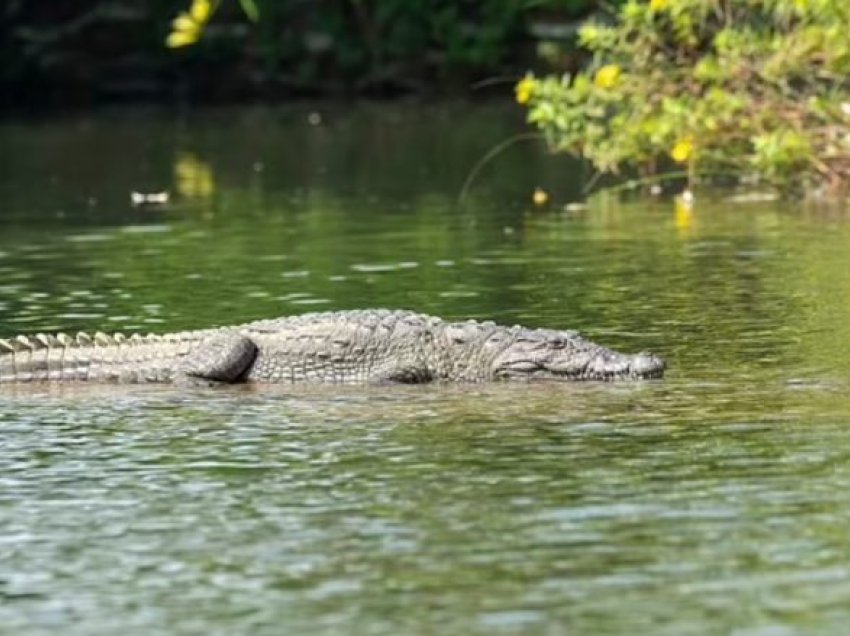 Nëna nga India hodhi të birin 6-vjeçar me aftësi të kufizuara në një lumë të mbushur me krokodil