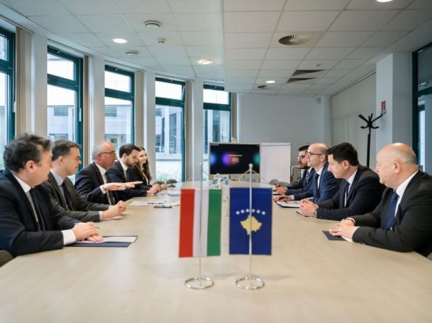 Zëvendësministri i MPJD-së takon Sekretarin e Shtetit hungarez, kërkon mbështetje për në KiE